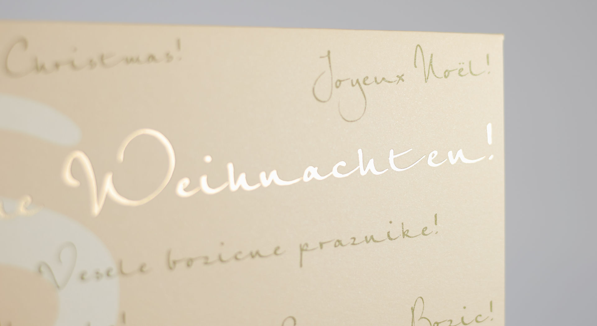 SCS, Hülle Detail
